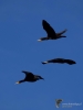 Filename=107_fotowilga~46.JPG
Filesize=159KB
Dimensions=525x700
Date added=Dec 01, 2017 107_fotowilga~46.JPG