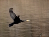 Filename=107_fotowilga~59.JPG
Filesize=263KB
Dimensions=700x525
Date added=Oct 07, 2019 107_fotowilga~59.JPG