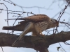 Filename=107_fotowilga~61.JPG
Filesize=243KB
Dimensions=700x525
Date added=May 19, 2019 107_fotowilga~61.JPG