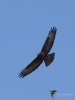 Filename=107_fotowilga~63.JPG
Filesize=187KB
Dimensions=525x700
Date added=Jun 24, 2019 107_fotowilga~63.JPG