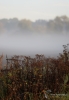 Filename=107_fotowilga~64.JPG
Filesize=254KB
Dimensions=488x700
Date added=Nov 27, 2019 107_fotowilga~64.JPG