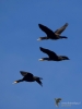 Filename=108_fotowilga~50.JPG
Filesize=172KB
Dimensions=525x700
Date added=Jan 30, 2018 108_fotowilga~50.JPG
