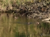 Filename=110_fotowilga~65.JPG
Filesize=398KB
Dimensions=700x525
Date added=Nov 18, 2019 110_fotowilga~65.JPG