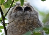 Filename=111_fotowilga~25.JPG
Filesize=99KB
Dimensions=640x457
Date added=Jul 10, 2016 111_fotowilga~25.JPG