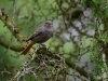 Filename=111_fotowilga~39.JPG
Filesize=281KB
Dimensions=700x525
Date added=Jun 01, 2017 111_fotowilga~39.JPG