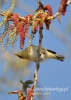 Filename=111_fotowilga~42.JPG
Filesize=77KB
Dimensions=343x480
Date added=Sep 05, 2017 111_fotowilga~42.JPG