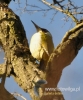 Filename=112_fotowilga~24.JPG
Filesize=91KB
Dimensions=400x480
Date added=Feb 19, 2016 112_fotowilga~24.JPG