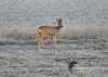 Filename=112_fotowilga~25.JPG
Filesize=137KB
Dimensions=640x457
Date added=Feb 28, 2016 112_fotowilga~25.JPG