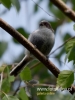 Filename=112_fotowilga~30.JPG
Filesize=56KB
Dimensions=360x480
Date added=May 31, 2016 112_fotowilga~30.JPG