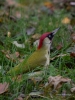 Filename=112_fotowilga~45.JPG
Filesize=292KB
Dimensions=525x700
Date added=Nov 12, 2017 112_fotowilga~45.JPG
