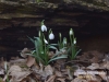 Filename=113_fotowilga~32.JPG
Filesize=87KB
Dimensions=640x480
Date added=Mar 07, 2017 113_fotowilga~32.JPG