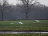 113_fotowilga~47.JPG