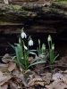 Filename=114_fotowilga~33.JPG
Filesize=73KB
Dimensions=360x480
Date added=Mar 07, 2017 114_fotowilga~33.JPG