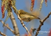 Filename=114_fotowilga~48.JPG
Filesize=107KB
Dimensions=640x457
Date added=Dec 13, 2017 114_fotowilga~48.JPG