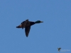 Filename=114_fotowilga~54.JPG
Filesize=163KB
Dimensions=700x525
Date added=Jan 26, 2019 114_fotowilga~54.JPG