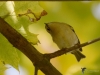 Filename=114_fotowilga~55.JPG
Filesize=261KB
Dimensions=700x525
Date added=Feb 11, 2019 114_fotowilga~55.JPG