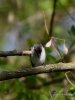 Filename=114_fotowilga~56.JPG
Filesize=240KB
Dimensions=525x700
Date added=Feb 25, 2019 114_fotowilga~56.JPG