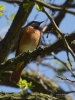 Filename=114_fotowilga~57.JPG
Filesize=260KB
Dimensions=525x700
Date added=Mar 05, 2019 114_fotowilga~57.JPG