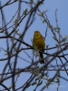 Filename=114_fotowilga~62.JPG
Filesize=274KB
Dimensions=525x700
Date added=Jun 27, 2019 114_fotowilga~62.JPG