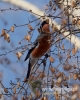 Filename=115_fotowilga~20.JPG
Filesize=80KB
Dimensions=384x480
Date added=Dec 05, 2016 115_fotowilga~20.JPG
