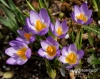 Filename=115_fotowilga~26.JPG
Filesize=119KB
Dimensions=605x480
Date added=Mar 22, 2017 115_fotowilga~26.JPG