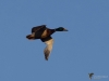 Filename=116_fotowilga~20.JPG
Filesize=165KB
Dimensions=700x525
Date added=Jan 28, 2019 116_fotowilga~20.JPG