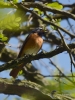 Filename=116_fotowilga~48.JPG
Filesize=269KB
Dimensions=525x700
Date added=Mar 02, 2019 116_fotowilga~48.JPG