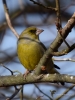 Filename=116_fotowilga~52.JPG
Filesize=266KB
Dimensions=525x700
Date added=May 11, 2019 116_fotowilga~52.JPG