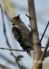 Filename=119_fotowilga~24.JPG
Filesize=72KB
Dimensions=343x480
Date added=Feb 29, 2016 119_fotowilga~24.JPG