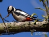 Filename=120_fotowilga~51.JPG
Filesize=89KB
Dimensions=640x480
Date added=Dec 02, 2018 120_fotowilga~51.JPG