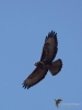 Filename=120_fotowilga~60.JPG
Filesize=218KB
Dimensions=525x700
Date added=Jun 25, 2019 120_fotowilga~60.JPG