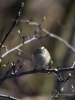 Filename=121_fotowilga~46.JPG
Filesize=238KB
Dimensions=525x700
Date added=Nov 27, 2017 121_fotowilga~46.JPG