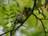 Filename=121_fotowilga~58.JPG
Filesize=278KB
Dimensions=700x520
Date added=Jan 23, 2019 121_fotowilga~58.JPG