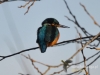 Filename=122_fotowilga~24.JPG
Filesize=81KB
Dimensions=640x480
Date added=Apr 01, 2016 122_fotowilga~24.JPG