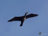 Filename=122_fotowilga~40.JPG
Filesize=172KB
Dimensions=700x525
Date added=Jan 22, 2018 122_fotowilga~40.JPG