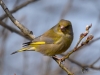 Filename=122_fotowilga~50.JPG
Filesize=233KB
Dimensions=700x525
Date added=Jan 05, 2019 122_fotowilga~50.JPG