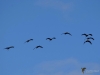 Filename=122_fotowilga~51.JPG
Filesize=151KB
Dimensions=700x525
Date added=Feb 02, 2019 122_fotowilga~51.JPG