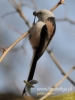 Filename=123_fotowilga~18.JPG
Filesize=65KB
Dimensions=360x480
Date added=Feb 01, 2016 123_fotowilga~18.JPG