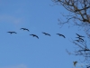 Filename=123_fotowilga~49.JPG
Filesize=187KB
Dimensions=700x525
Date added=Jan 29, 2019 123_fotowilga~49.JPG