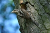 124_fotowilga~34.JPG