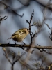 Filename=124_fotowilga~42.JPG
Filesize=220KB
Dimensions=525x700
Date added=Nov 27, 2017 124_fotowilga~42.JPG