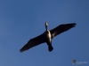 124_fotowilga~45.JPG
