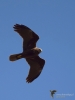 Filename=124_fotowilga~56.JPG
Filesize=190KB
Dimensions=525x700
Date added=Apr 27, 2019 124_fotowilga~56.JPG