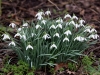 Filename=124_fotowilga~58.JPG
Filesize=344KB
Dimensions=700x525
Date added=May 06, 2019 124_fotowilga~58.JPG