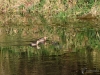 Filename=124_fotowilga~62.JPG
Filesize=400KB
Dimensions=700x525
Date added=Dec 16, 2019 124_fotowilga~62.JPG