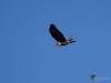 125_fotowilga~65.JPG