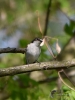 Filename=125_fotowilga~66.JPG
Filesize=243KB
Dimensions=525x700
Date added=Feb 27, 2019 125_fotowilga~66.JPG