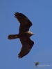 Filename=125_fotowilga~69.JPG
Filesize=188KB
Dimensions=525x700
Date added=Apr 26, 2019 125_fotowilga~69.JPG