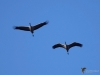 Filename=126_fotowilga~48.JPG
Filesize=181KB
Dimensions=700x525
Date added=Feb 02, 2019 126_fotowilga~48.JPG