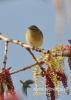 Filename=128_fotowilga~45.JPG
Filesize=71KB
Dimensions=343x480
Date added=Dec 10, 2017 128_fotowilga~45.JPG